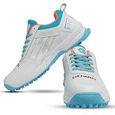 A shoe is an item of footwear intended to protect and comfort the human foot